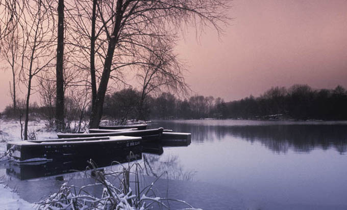 Neige sur les marais picards, un ciel rouge annonçait la tempête, Picardie
Mots-clés: Picardie
