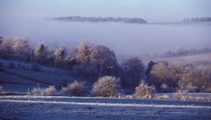 Matin d'hiver :: Brume givrante sur la vallée Picardie
Brume givrante sur la vallée
Mots-clés: Picardie