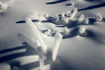 Effets de glace en gros-plan
