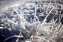 Thyon_Magie_de_l_hiver.jpg