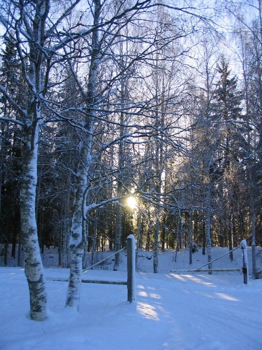 Un matin en Finlande
Canon Powershot A70, février.
Mots-clés: Finlande