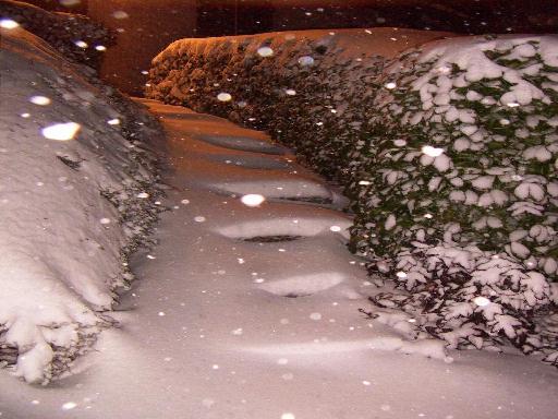 Neige de minuit, Runchy commune de Mesvres  (Saône et Loire)
dans la nuit du 5 mars 06, d' importantes chutes de neige ont eu lieu sur le Morvan ; cette photo représente la neige en train de tomber ( d'où les taches blanches !) sur l'escalier montant à ma maison, dans le hameau où j'habite, à Runchy commune de MESVRES .
Mots-clés: Mesvres