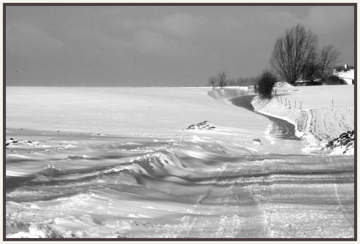 Retour de l'hiver :: Sart Risbart, Brabant Wallon
Route menant au petit village de Sart Risbart dans le Brabant Wallon belge
Mots-clés: Sart-Risbart Brabant Wallon