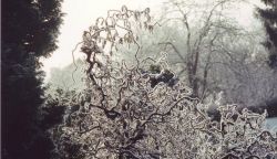IMAGE0003.JPG