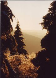 IMAGE0005.JPG