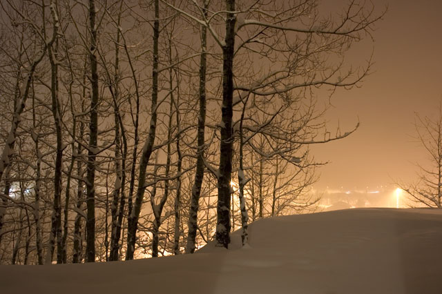 La neige et la nuit
