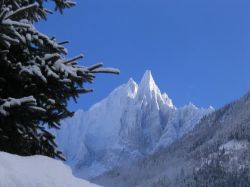 Drus.jpg