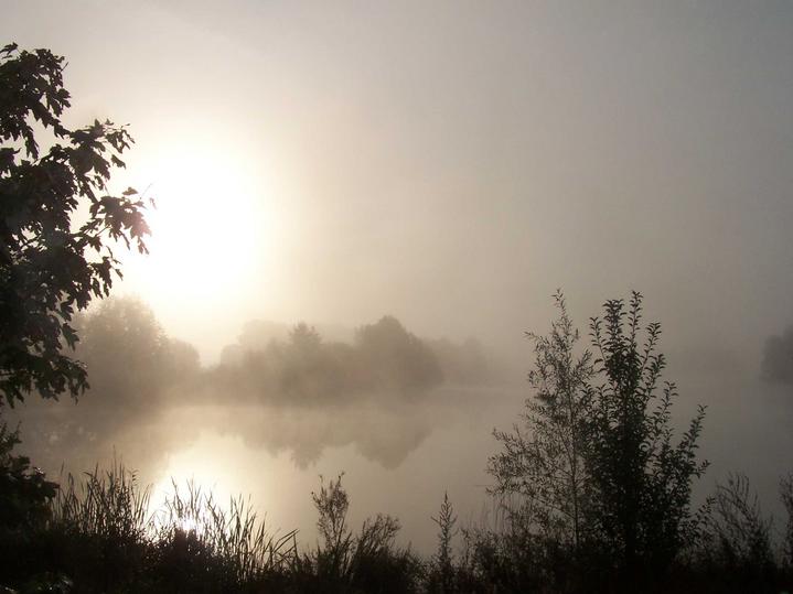 Brume sur l'étang un dimanche matin avec soleil levant
la brume sur l'étang et lever de soleil
Mots-clés: brume étang soleil matin froid