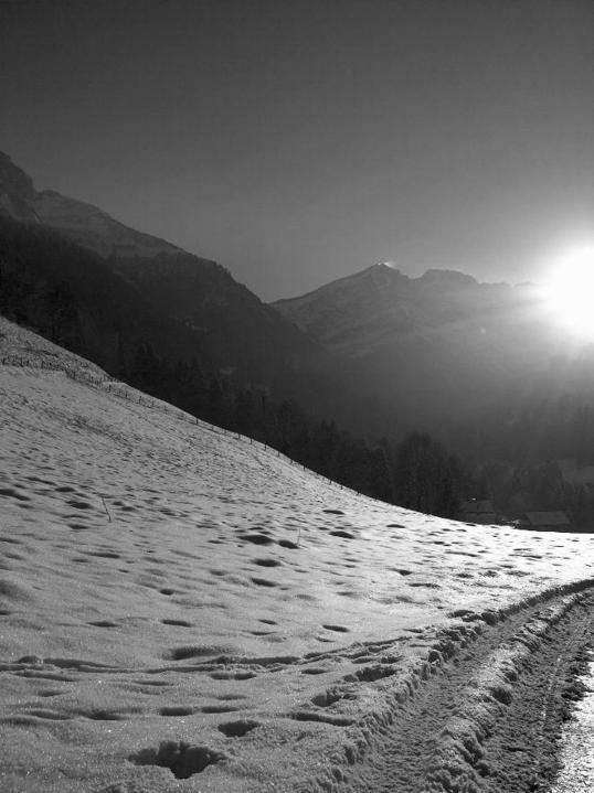 Val d'Illiez en Suisse Romande
Photo prise à Val d'Illiez, petit village situé en moyenne montagne en suisse Romande en décembre 2005. Cette photo a été prise avec un petit appareil photo numérique (5 M pixel).
Mots-clés: Suisse Illiez neige montagne