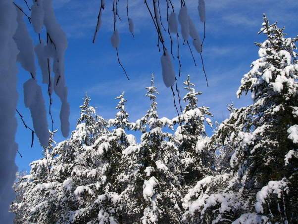 Neige et bleu aux Trois-rivières, Québec Canada
decembre 2006
version 1024x768 sur flickr 
Mots-clés: neige hiver bleu Trois-Rivières Quèbec