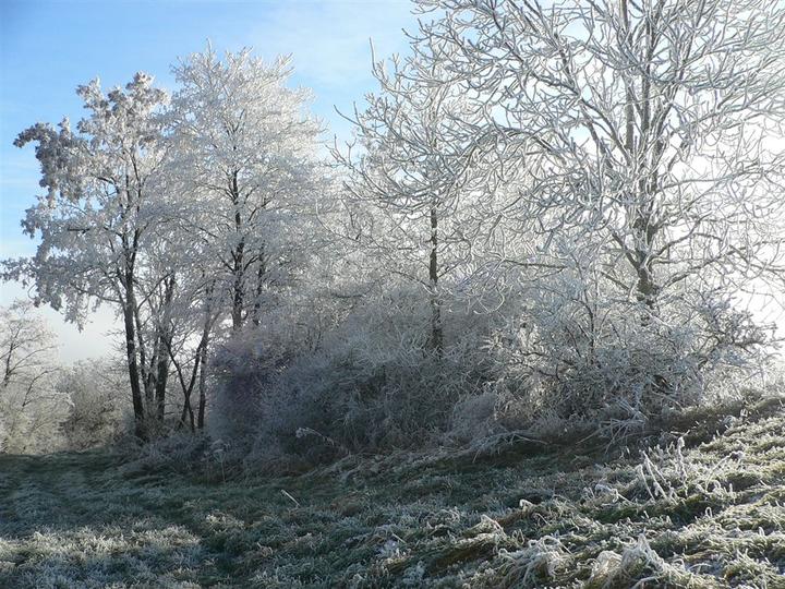 Haute-Marne, givre sur le plateau de Langres
le 28/12/2006
Mots-clés: Langres givre