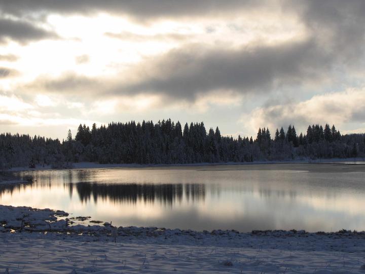 Eau, glace et neige au Lac de Bellefontaine (Jura)
lac de Bellefontaine (Jura) en décembre 06 
ce jour là il y avait de l'eau de la glace et de la neige !!!
Mots-clés: lac Bellefontaine Jura