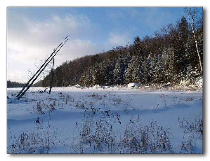Canada, paysage par -20° celcius
;-)      
Mots-clés: hiver Canada Québec neige