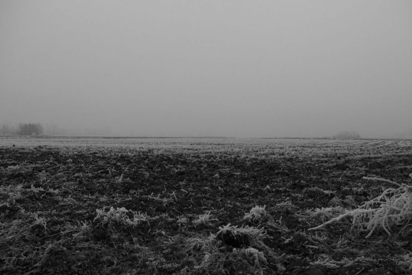 Champs d'hiver, atmosphère inquiétante
