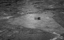 bouteille_sur_glace.jpg