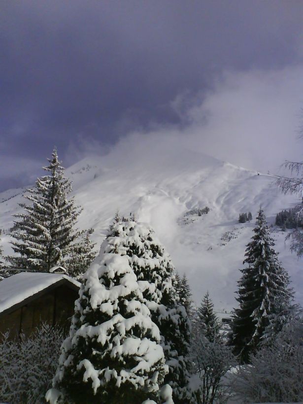 Manteau blanc au calme dans la nature
