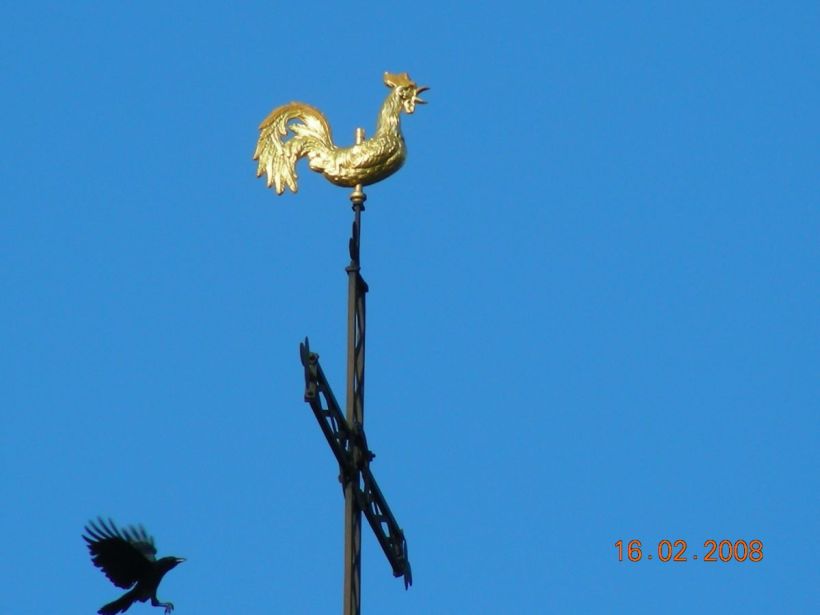 Le coq d'or et le corbeau, Ivoire, Suisse
Le coq et la boule situés à son sommet sont couverts de feuilles d'or
Mots-clés: Haute Savoie ivoire lac léman