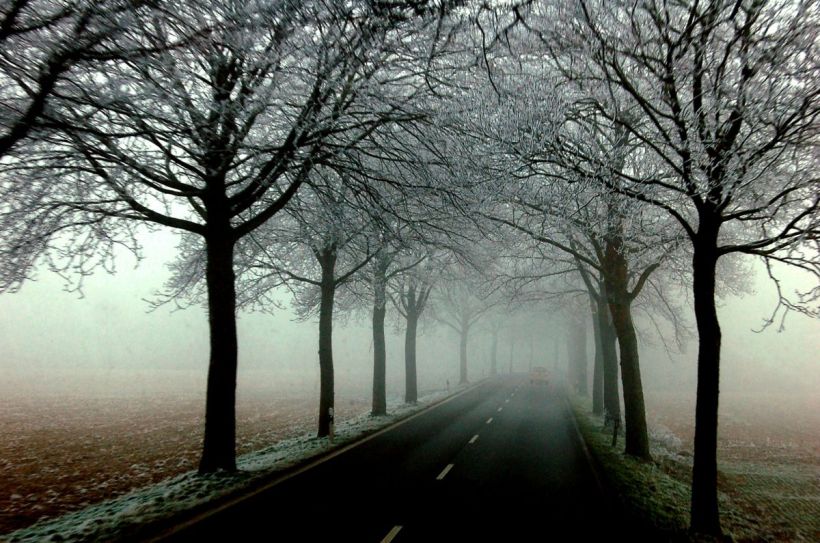 De brume et de glace...Il etait. La voiture surgissant de la brume
Cette photo a été réalisée le 21 décembre 2007 à bord de la navette qui relie l'aéroport de Weeze en Allemagne et Köln (Cologne), à 11.21. La voiture surgissant de la brume...à peine visible...telle une voiture fantôme.
Mots-clés: ice tree