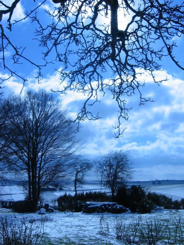 Sous le ciel bleu et blanc du Berry
La nature réapparait sous la lumière de l'hiver ou les nuages blancs flottent sur un ciel bleu
Mots-clés: neige berry ciel bleu
