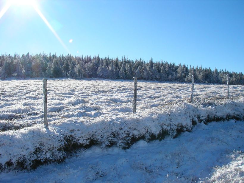 Plateau du Cézalier sous la neige
Un puissant soleil frappe d'une lumière bleue sur le plateau du Cézalier en hiver. Une neige parfaitement blanche, du gel, des sapins recouverts... la beauté, à l'état pur.
Mots-clés: Cézalier neige hiver sapins lumière