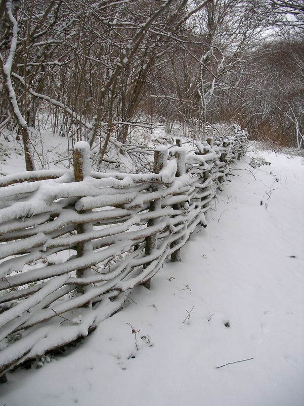 La barrière des fées - Puy de Pariou
Dans une ambiance féerique au pied du Puy de Pariou, en Auvergne, une barrière s'est parée de neige pour accueillir au mieux les randonneurs...
Mots-clés: barrière neige puy pariou hiver Auvergne