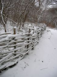 SANY0068_2.JPG