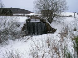 SANY0080.JPG