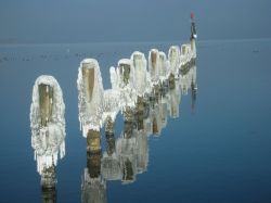 yverdon_hiver_janvier_2009_063.JPG