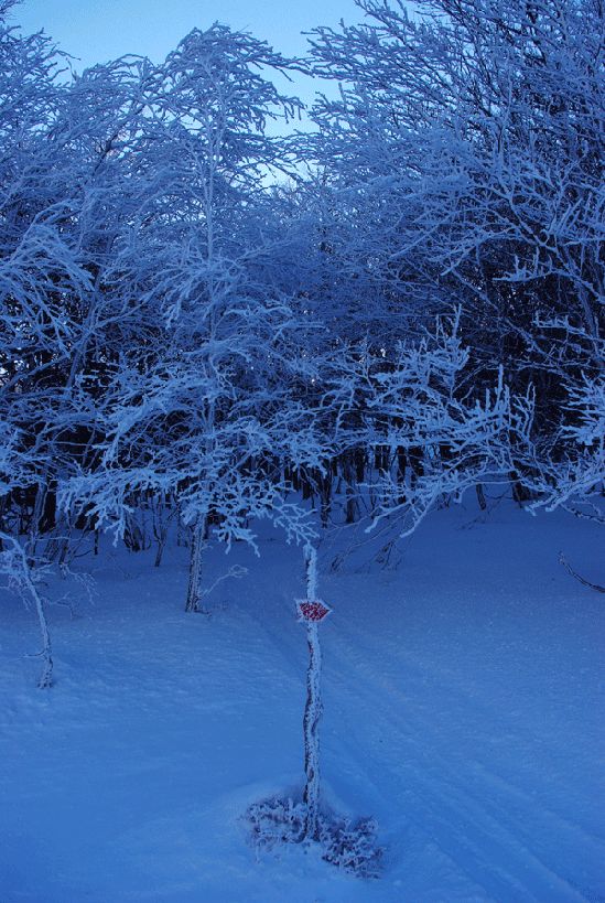 Piste de vtt sous la neige, col de Rousset, Vercors
Fin d'après midi sur le col de Rousset dans le Vercors, ballade en raquette, un bleu glacial mais naturel
Mots-clés: Vercors