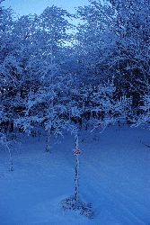 piste-vtt.gif