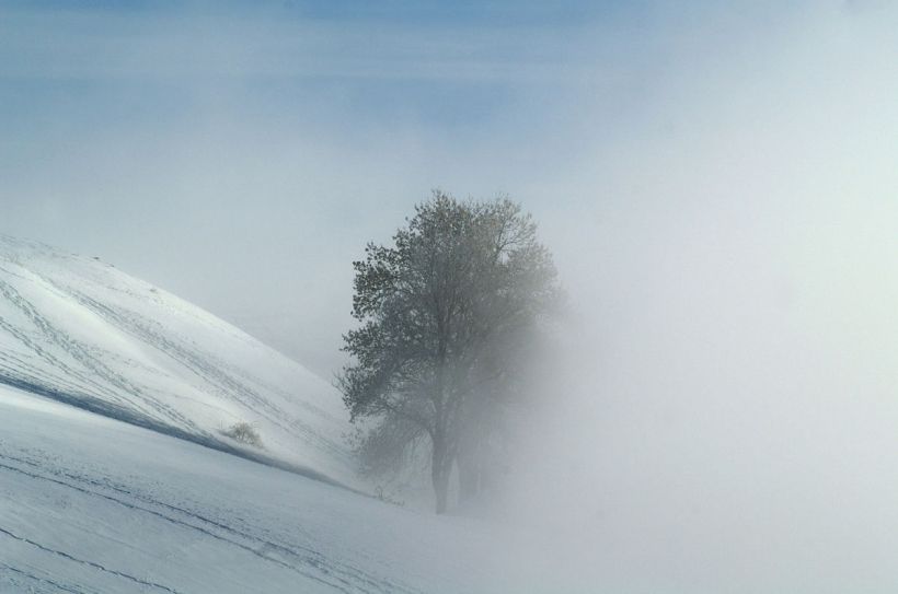 Solitude hivernale dans la Plaine Joux, Haute Savoie
photo prise le 29 janvier 2009, au dessus des chalets des Ajoncs (Plaine Joux, après Boège, Haute-Savoie
Mots-clés: Haute-Savoie