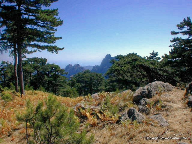 Maquis et montagne corses, Corse - France