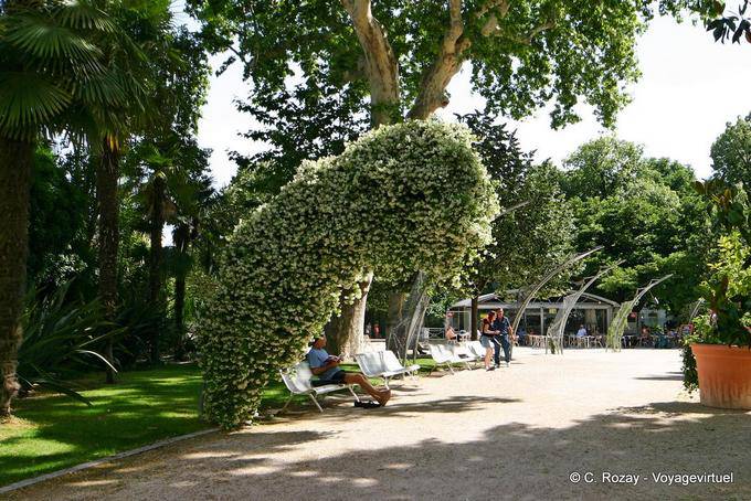 Jardin fleuri et ombragé, Avignon, Provence, France