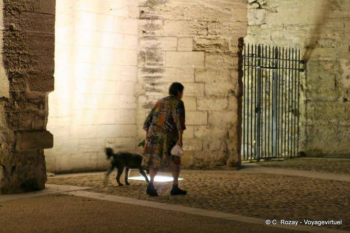 Promenade nocture du chien dans un puit de lumière, Avignon, Provence, France