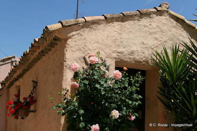 La Garde-Freinet, rosier devant la maison, Provence, France