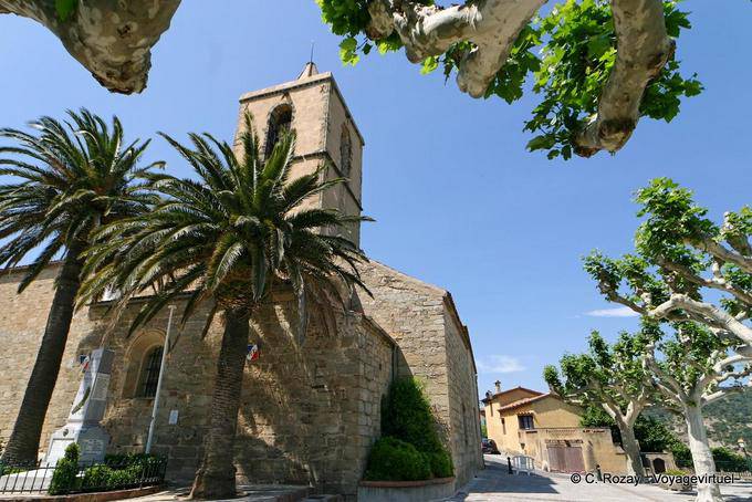 Grimaud, palmiers sur la place de l'Eglise, Provence, France