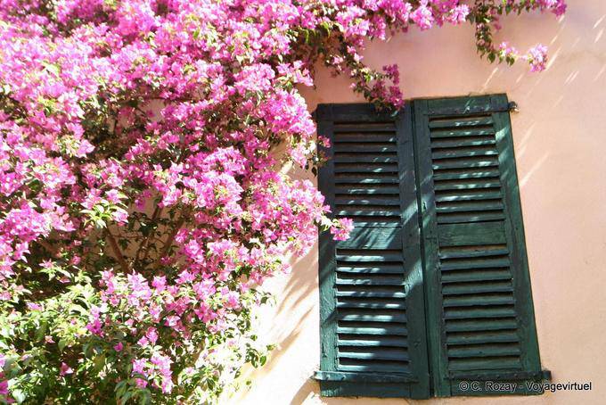 Ramatuelle, volets fermés, Provence, France