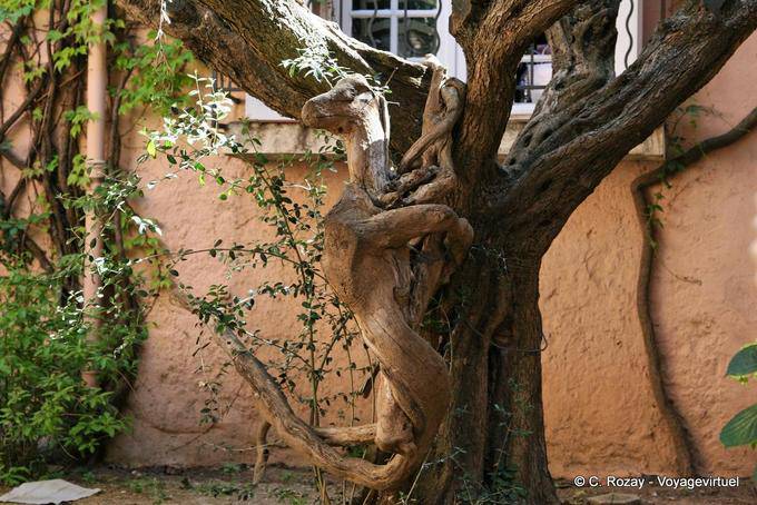 Saint-Tropez, animal racine, sculpture arbre, Provence, France