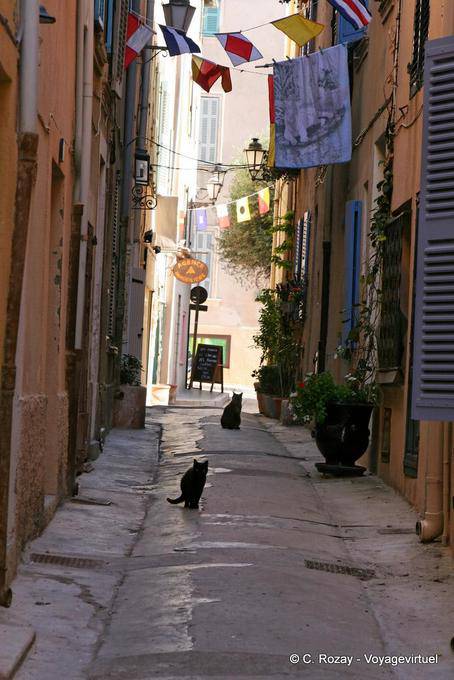 Saint-Tropez, ruelle des chats noirs, Provence, France