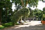 Jardin fleuri et ombragé, Avignon, France.