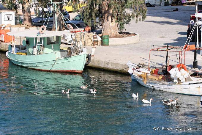 Canards sur le canal, Georgioupoli - Crète, Grèce