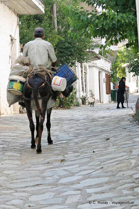 Vie quotidienne dans une rue de village, Oropedio Lassithiou - Crète, Grèce