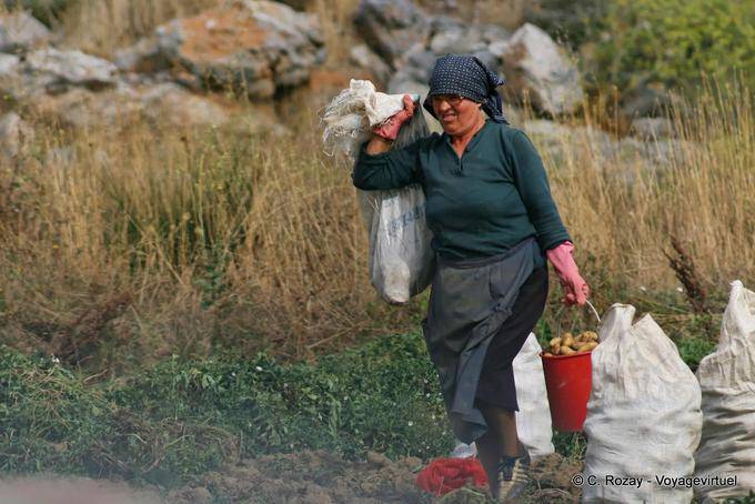 Femme transportant les pommes de terre au moment de la récolte, plateau du Lassithi - Crète, Grèce