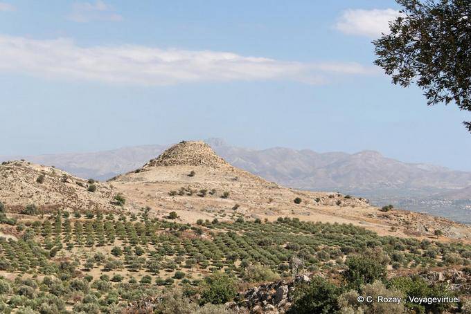 Plantation d'oliviers vers Magarikari - Crète, Grèce
