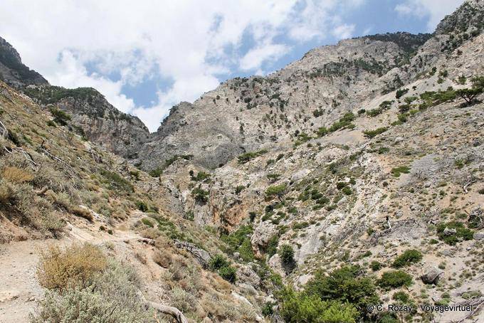 Paysage des gorges de Rouvas au nord de Zaros - Crète, Grèce