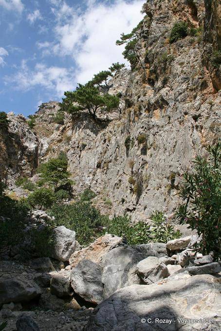 Zaros, promenade dans le lit des gorges - Crète, Grèce