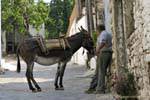 L'homme et son âne, Farsaro, Crète.
