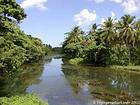 Rivière dans la jungle, Rép. Dominicaine.