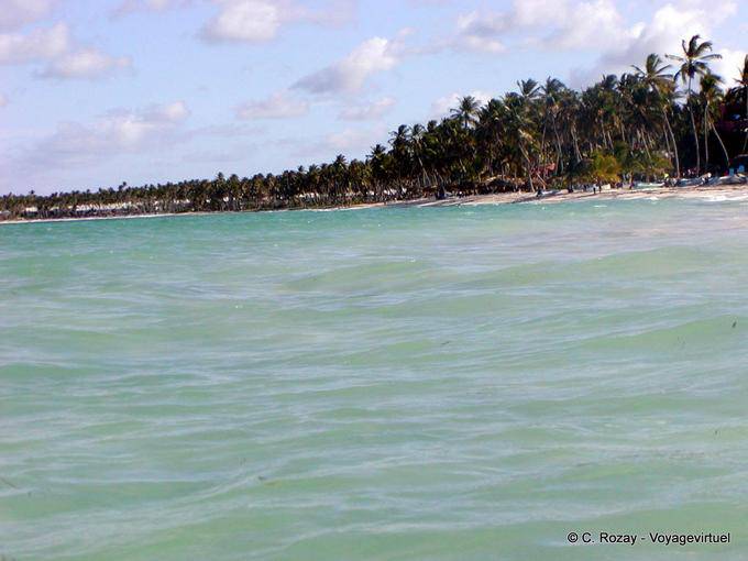 Plage plantée de cocotiers de Bavaro, côte nord de Punta Cana - Rép. Dominicaine
