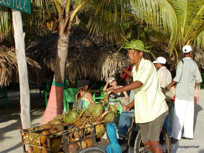 Marchand ambulant de cocos et son tricycle, Boca Chica - Rép. Dominicaine
